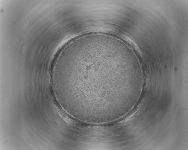 X0000087381027200705041940