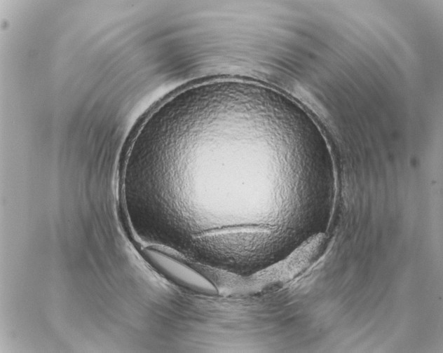 X0000087381028200705041940