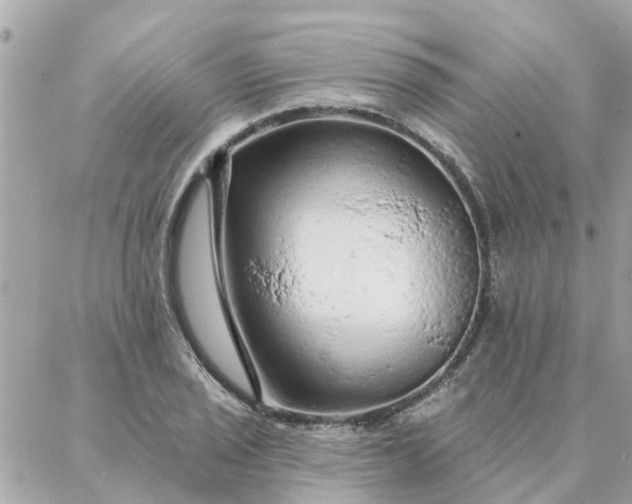 X0000087381029200705041940