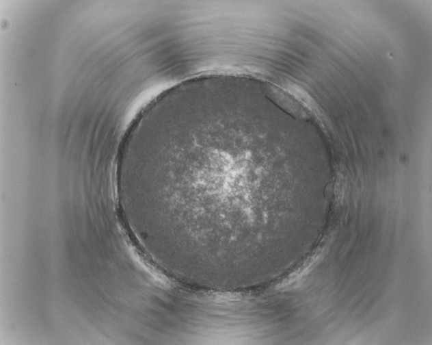 X0000087381030200705041940