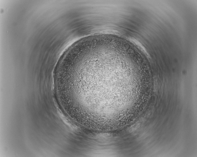 X0000087381031200705041940