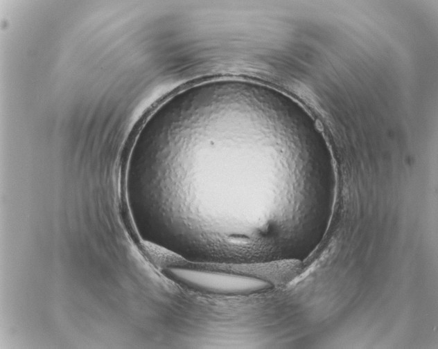 X0000087381032200705041940