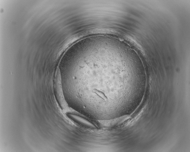 X0000087381033200705041940