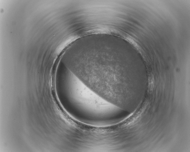 X0000087381034200705041940