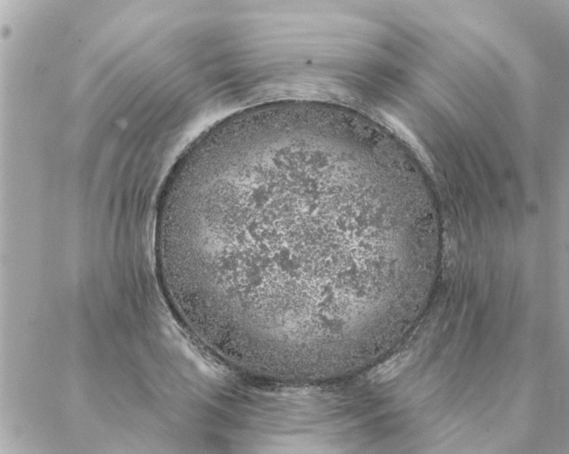 X0000087381035200705041940