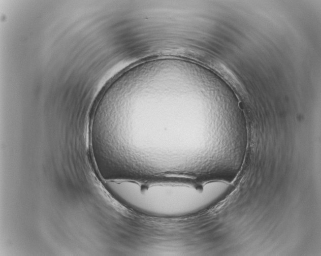 X0000087381036200705041940