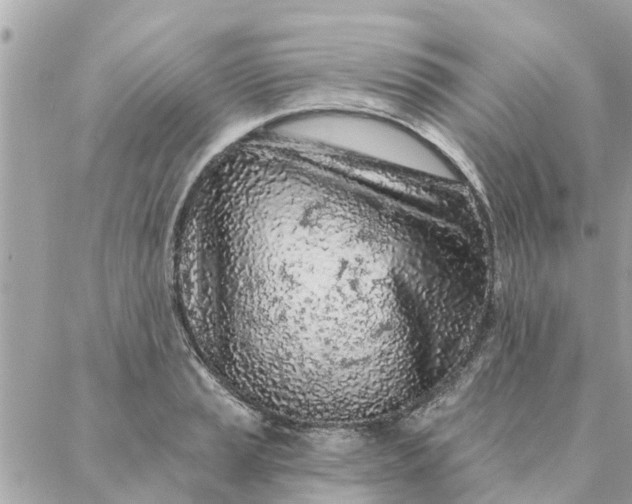 X0000087381037200705041940