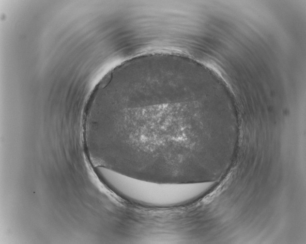 X0000087381038200705041940