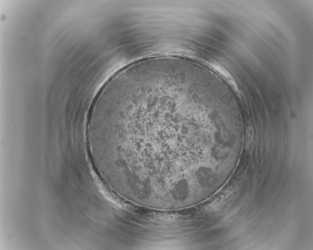 X0000087381039200705041940