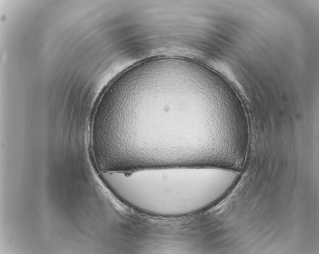 X0000087381040200705041940