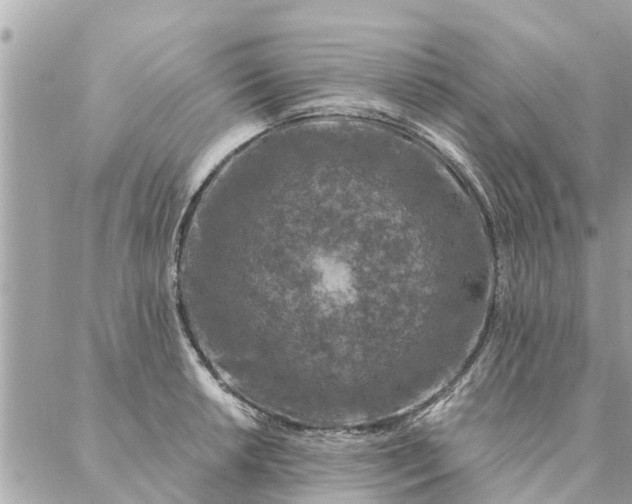 X0000087381042200705041940