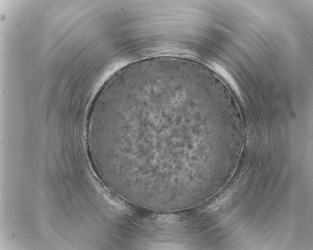 X0000087381043200705041940