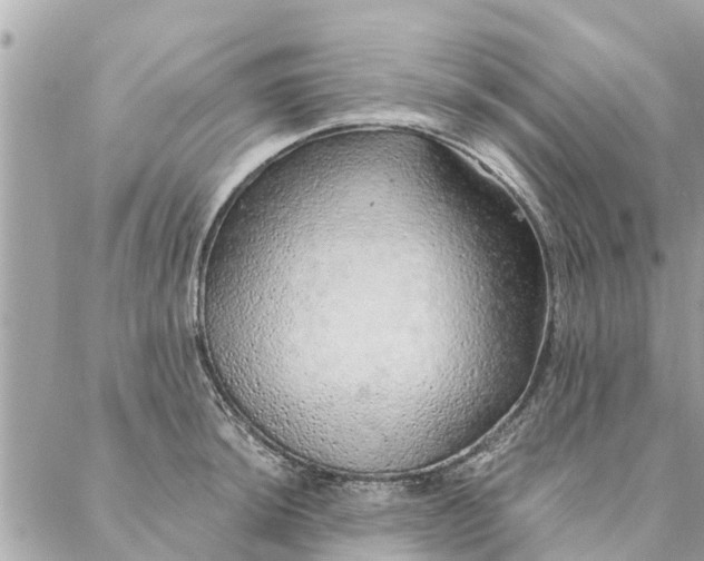 X0000087381044200705041940