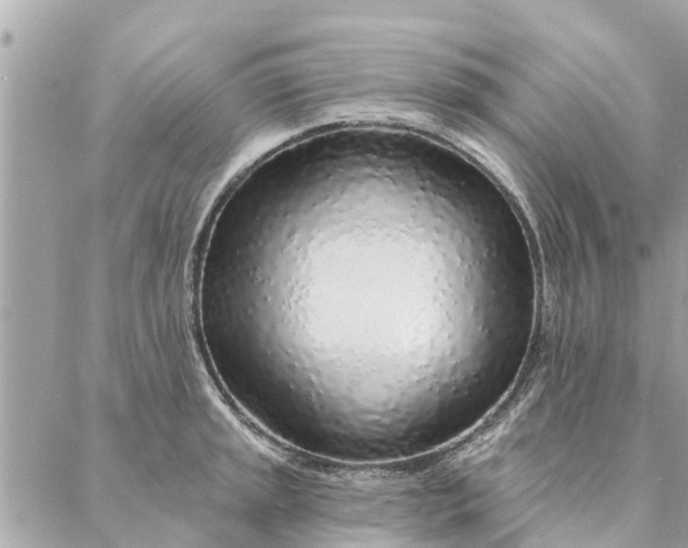 X0000087381045200705041940