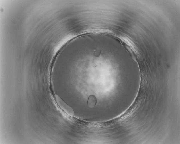 X0000087381046200705041940