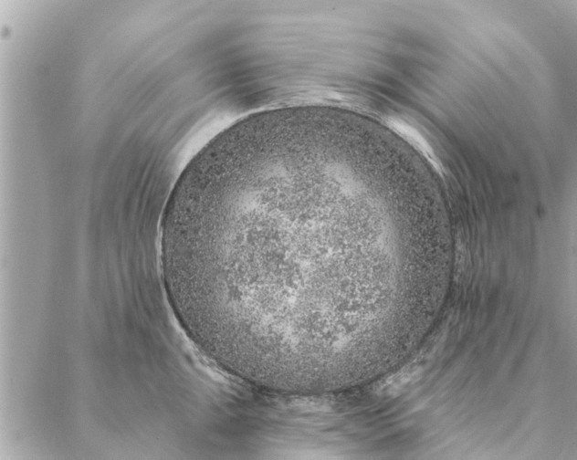 X0000087381047200705041940