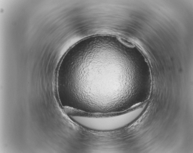 X0000087381048200705041940