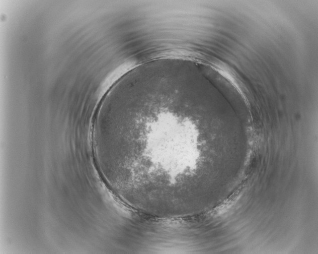 X0000087381050200705041940