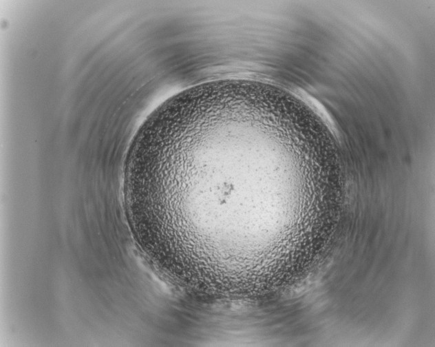 X0000087381051200705041940