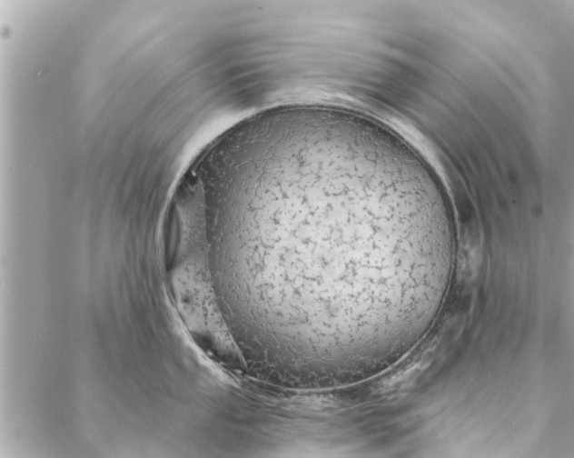 X0000087381053200705041940