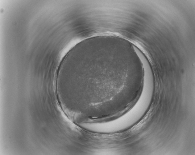 X0000087381054200705041940