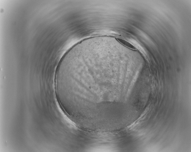 X0000087381055200705041940