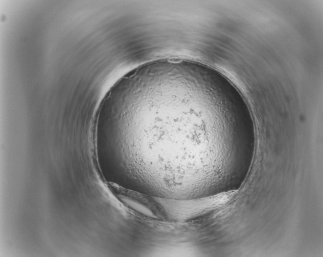 X0000087381056200705041940