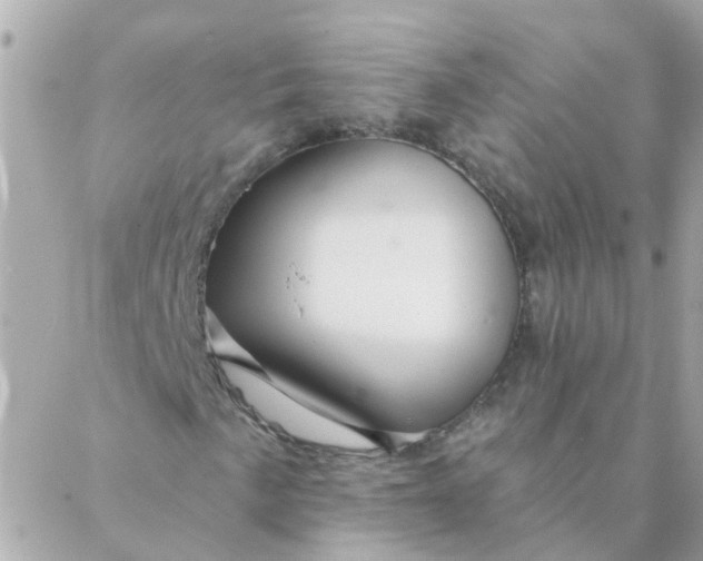 X0000087381057200705041940