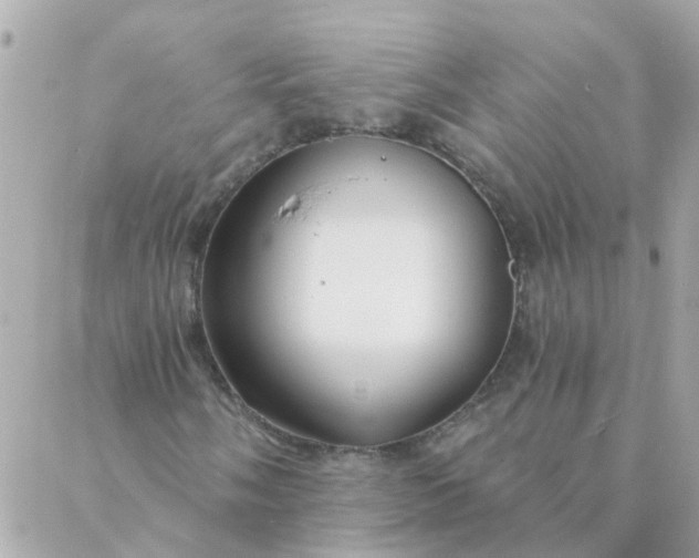 X0000087381058200705041940