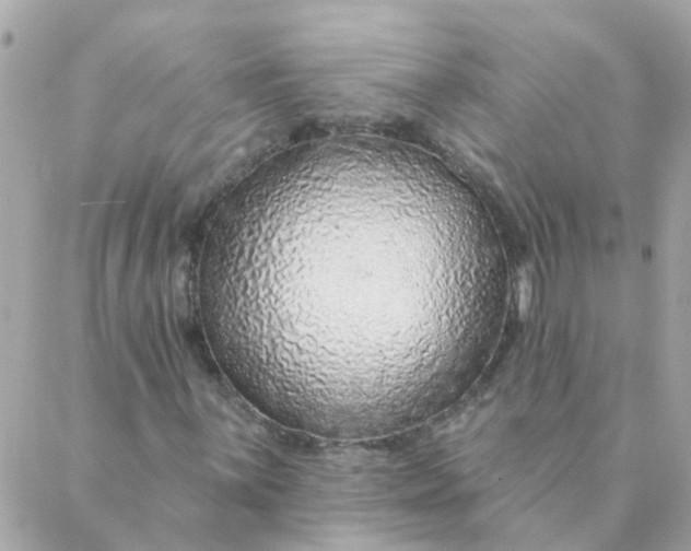 X0000087381059200705041940