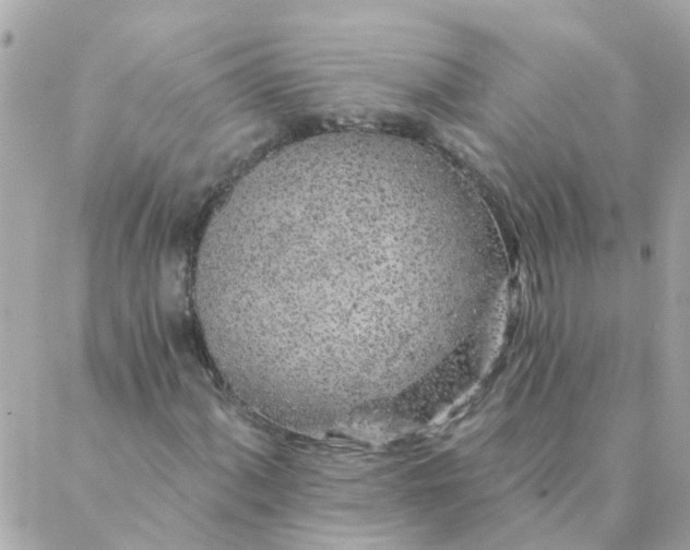 X0000087381060200705041940