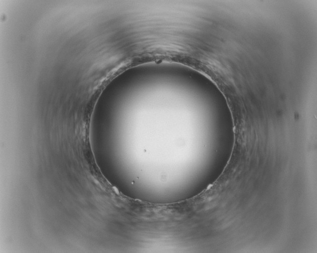 X0000087381061200705041940