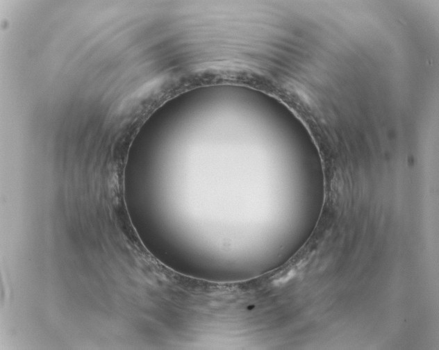 X0000087381062200705041939