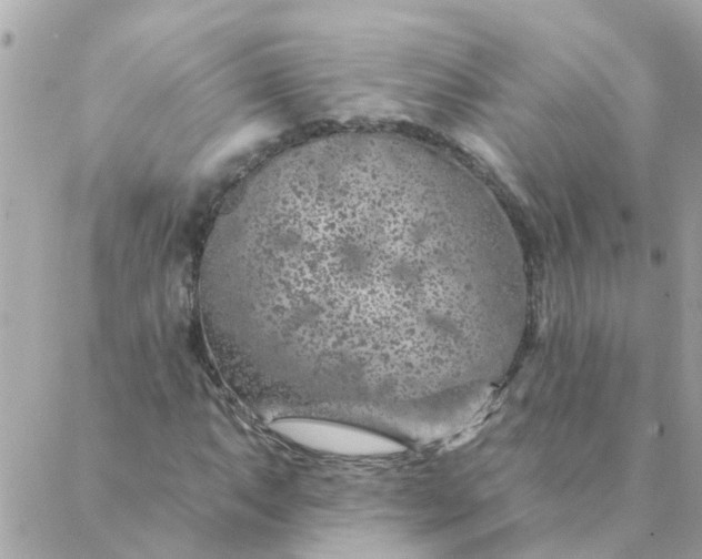 X0000087381063200705041939