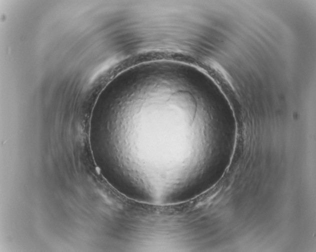 X0000087381064200705041939