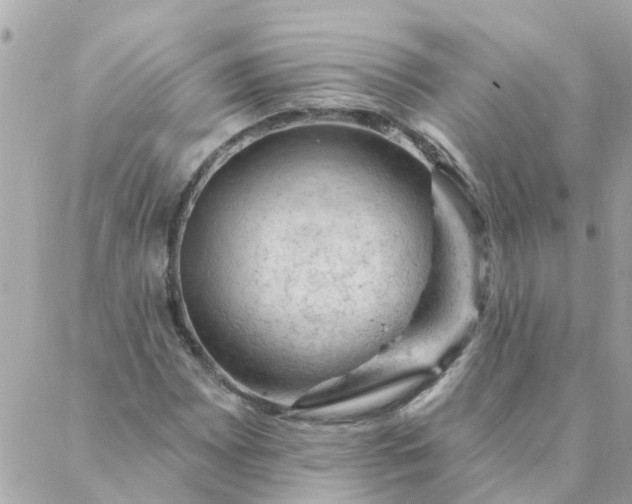 X0000087381065200705041939