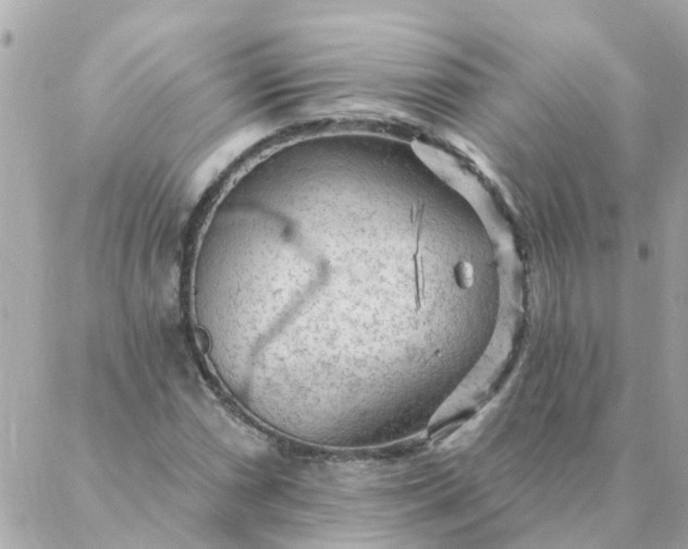 X0000087381066200705041939