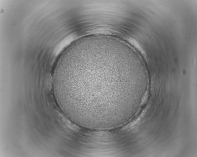 X0000087381067200705041939