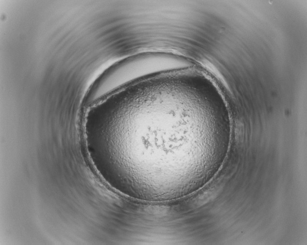 X0000087381068200705041939