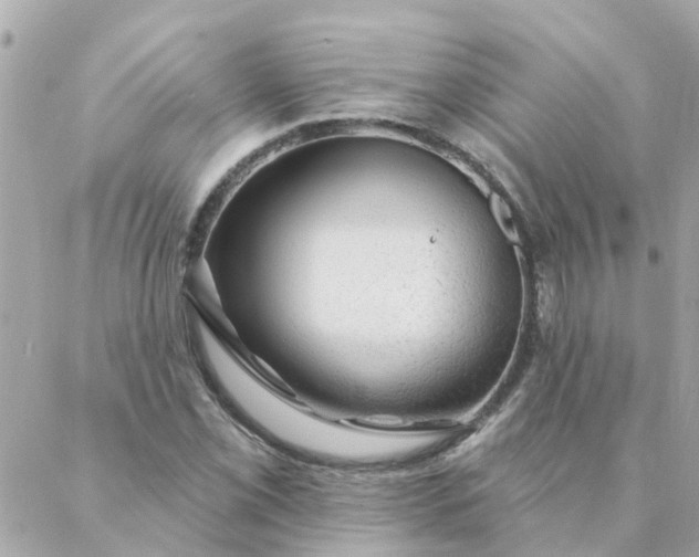 X0000087381069200705041939