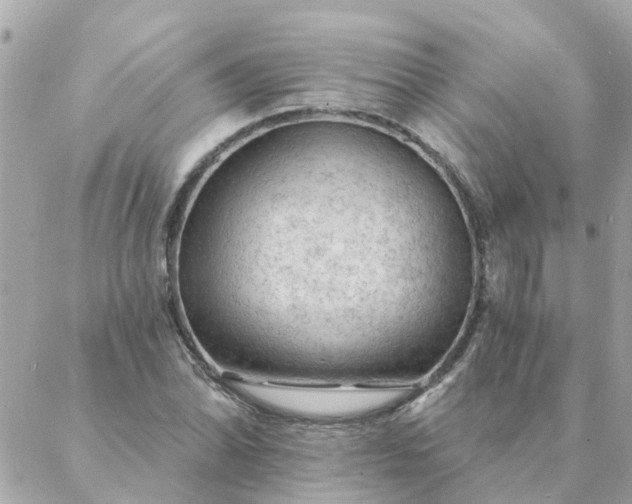 X0000087381070200705041939