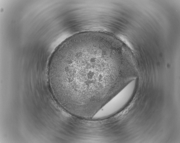 X0000087381071200705041939