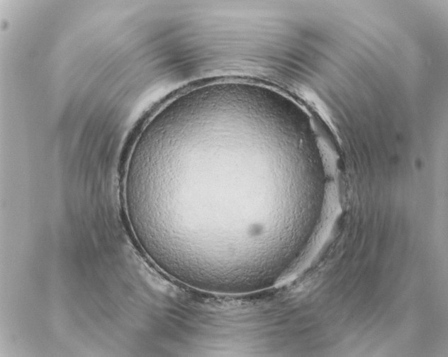 X0000087381072200705041939