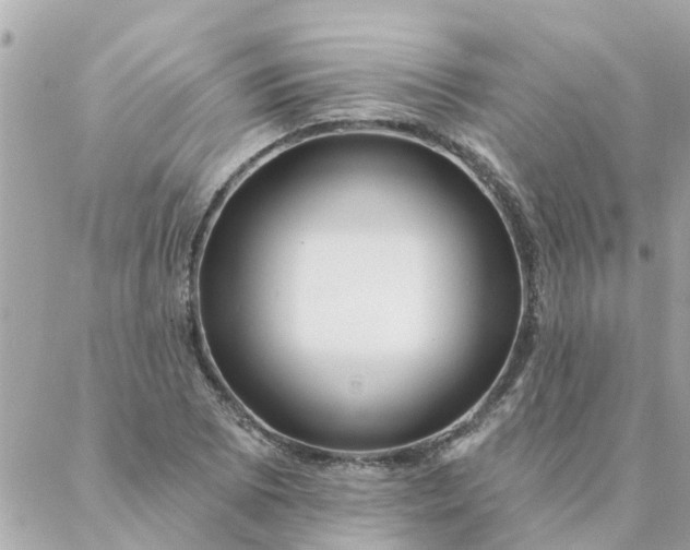 X0000087381073200705041939