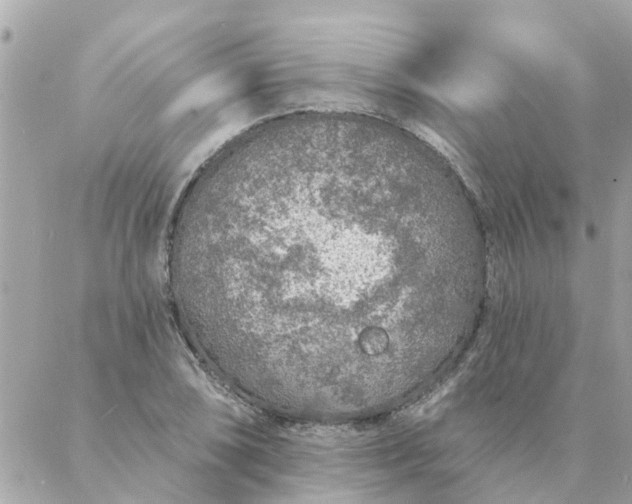 X0000087381074200705041939