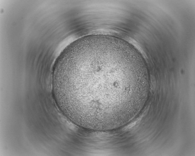 X0000087381075200705041939