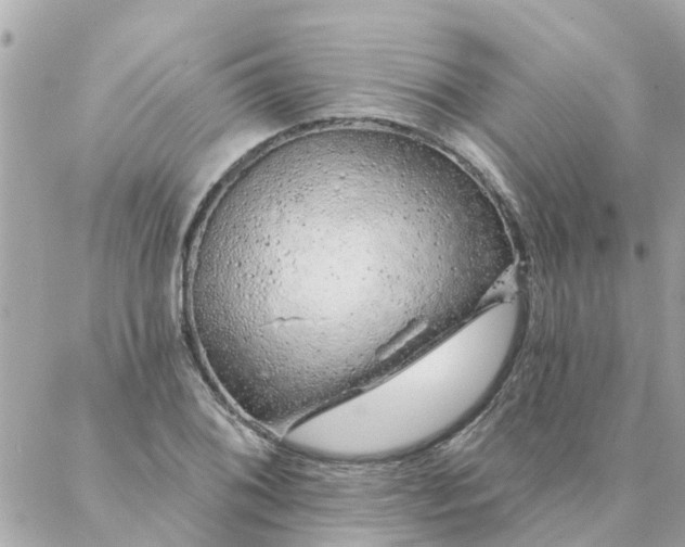 X0000087381076200705041939