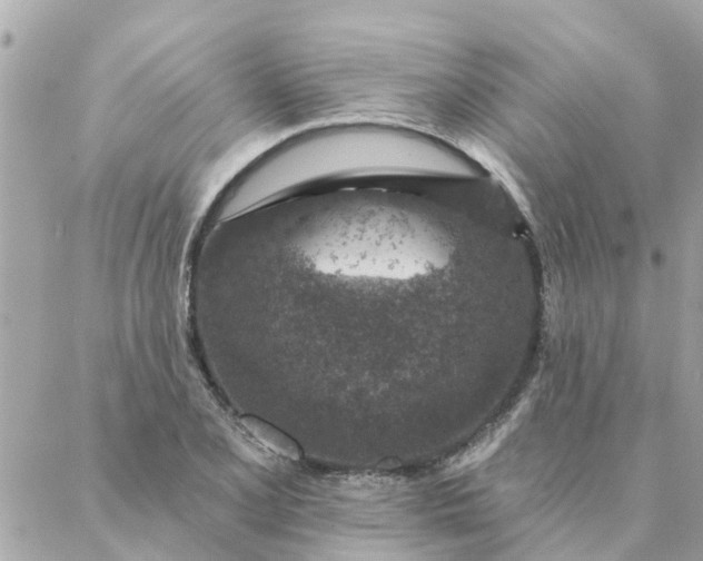 X0000087381077200705041939