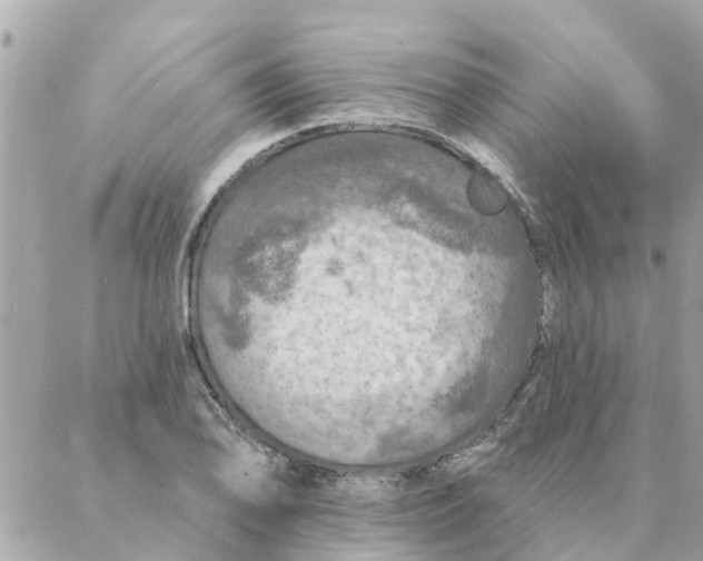 X0000087381078200705041939