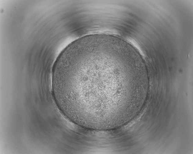 X0000087381079200705041939